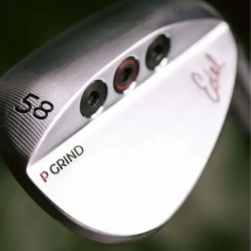 Edel Wedge Fitting